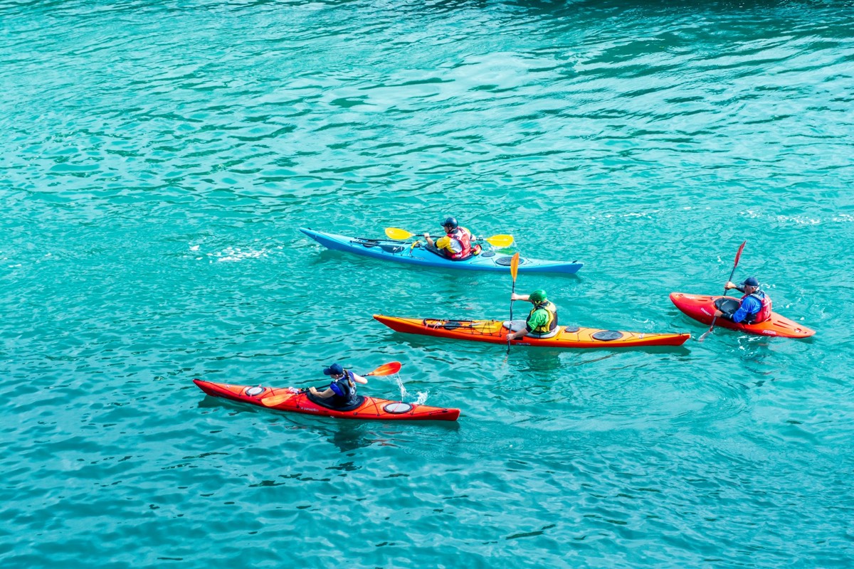 Rent a kayak in Clearwater